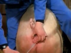 Fucking animal tube