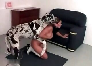 Big dog is about to fuck naked brunette from behind