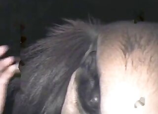 Killer sideburns dude inserting his penis into an animal's cunt