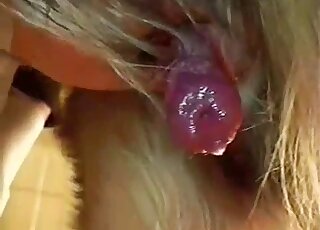 Red animal penis being showcased in a free dog handjob porn vid