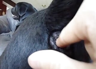 Awesome fingering and fisting for a submissive black dog petslut