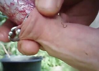 Dude's handjob and frottage skills showcased to random animals