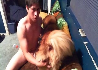 Dark-haired guy jacking off while seducing his brown animal here