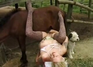 Two animals fuckin the same horny lady in leopard print tights