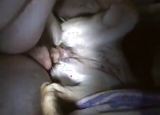 Female dog lies docile while getting nailed by his master