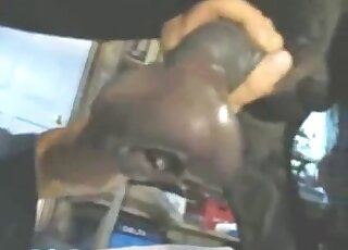 Sex-craving dude stuffs his mouth with giant pony dick