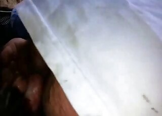 Close-up on a hairy man butt while it's riding dog cock cowgirl style