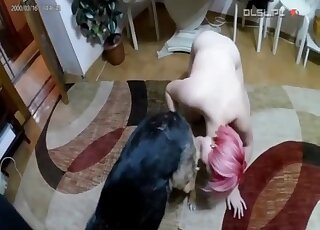 Pink-haired teen girl gets instructions from master while fucking dog