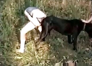 Black dog obviously enjoys receiving a blowjob from zoophile slut