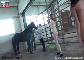 Two depraved chicks are having sex fun with giant horse cock