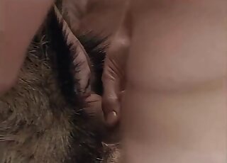 Husband & wife are sharing calm goat in a bestiality threesome