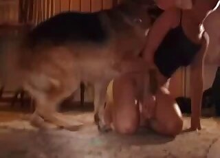 Short-haired wife goes down on all fours for sex with German Shepherd