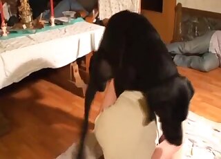 Big black dog provides sexual satisfaction to amateur redhead