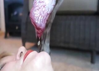 Slutty cougar is draining ever drop of jizz from erect dog dick