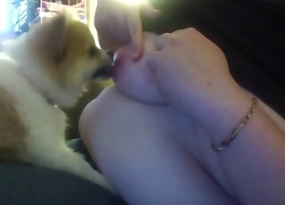 Chubby mature woman lets dog lick her big boobs and nipples