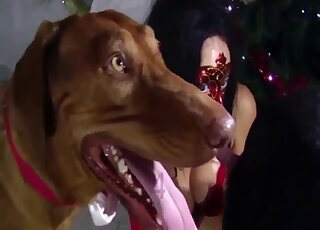 Masked hussy has two dog dicks available for sucking in a threesome