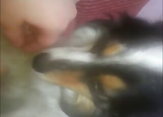 Low-quality amateur zoo sex video of young babe making love to canine