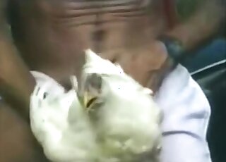 Well-hung stallion has a white bird stuck on his long dick