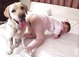 Asian nurse lets cute Labrador up her extremely hairy pussy