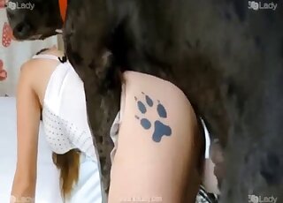 Tattooed hottie with a firm ass is getting fucked by a kinky dog too