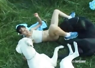 Lovely slut with a hairy twat is going to fuck a black animal outdoors