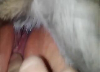 Pink pussy zoophile allows this furry dog to blast her from behind