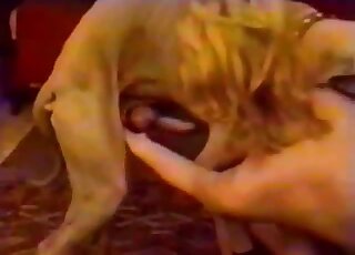 Blonde wants to get fucked by dog that has implausible fucking skills