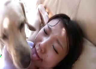 Teen Japanese takes dog sperm on face after ruthless cam perversions