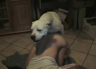 White dog fucks amateur wife in home alone XXX anal