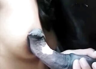 Brunette loves feeling that horse's dick deep inside her mouth