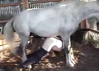 Aroused gay man anal fucked by a horse in brutal action