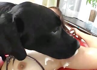 Brutal zoophilia obedience in really hot Japanese scenes