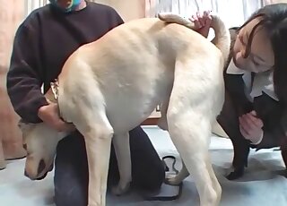 Clothed Japanese ass licks the dog in front of her master