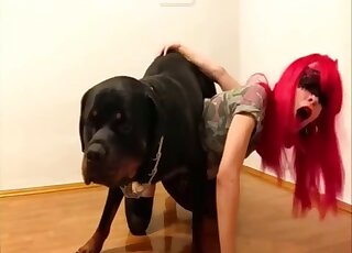Redhead and her black dog in sloppy cam porn until the orgasm