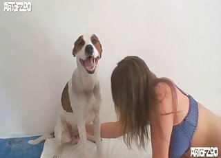 Hond bevredigt naakte amateur slet met perfecte cunnilignus