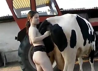 Naked bitch fist fucks cow and shares animal perversions in great angles