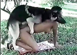 Shepherd dog start outdoors fuckign session with a horny brunette