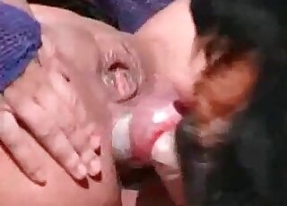Horny bitch enjoys anal sex with a dog during wild XXX action