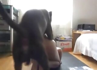 Dog humps sexy woman's pussy and ass in homemade zoo XXX kinks