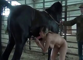 Slutty blonde wife tries to throat the horse cock and then fuck