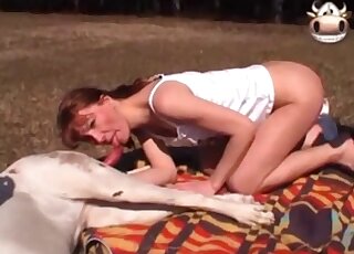 Thin woman enjoys fine outdoor sex treat with both her dogs