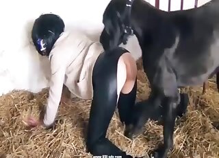 Brunette gets roughly fucked by a dog in extreme zoo cam scenes