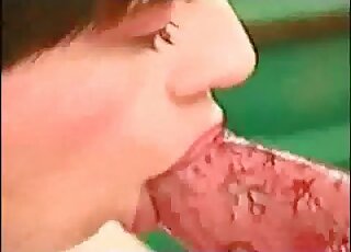 Compilation of blowjobs demonstrated during various zoo porn scenes