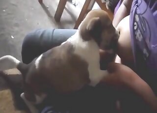 Sexy small animal gives those nipples a suckle-suckle first