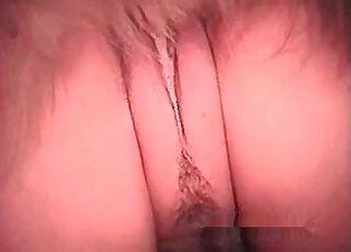 Fluffy dog doesn't mind getting involved in hot fucking with a horny bitch