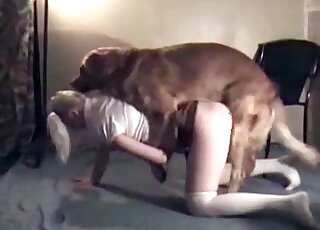 Fluffy dog performs a non-stop pussy-ramming of a hot blond chick