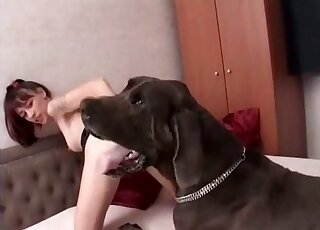 Skinny redhead with a hairless pussy fucking a black dog after oral