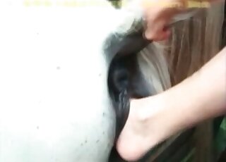 White mare getting fisted in intense scene that will get even hotter