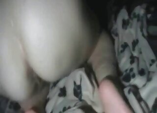 Nighttime romp with a sexy animal that inserts its penis deep inside