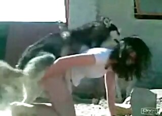 Fun movie showing a brunette in blue that fucks a dog in a retro vid